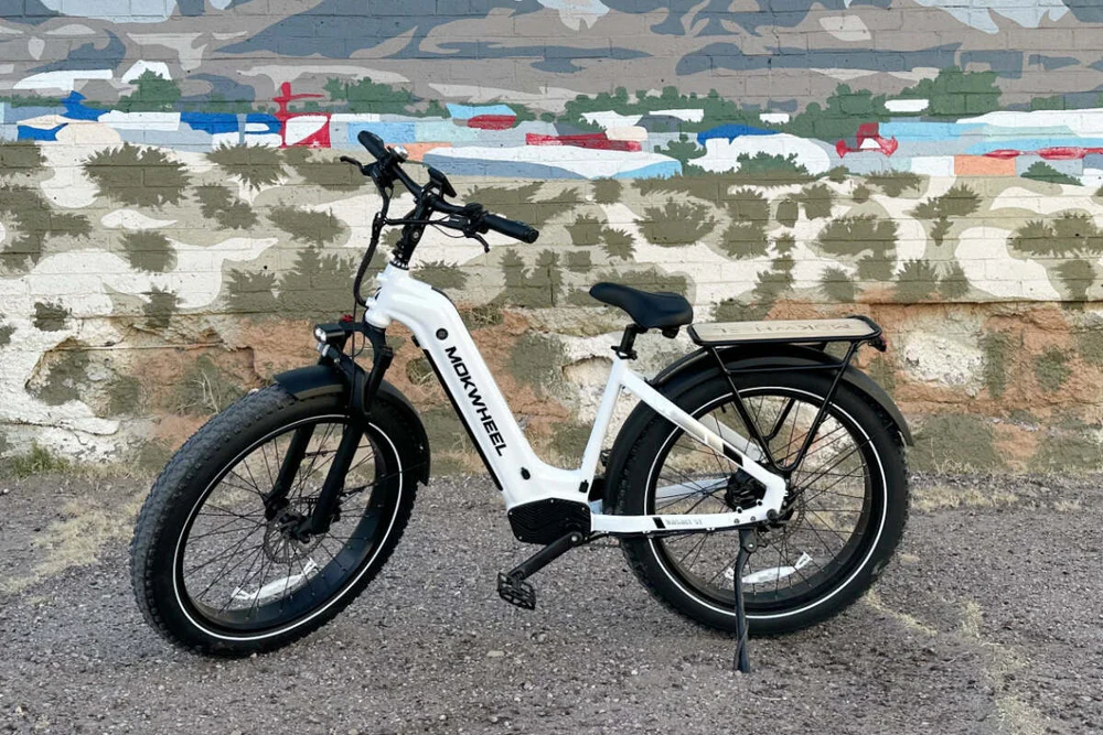 E-bike rides in North Florida on a Mokwheel Basalt ST fat-tire electric bike