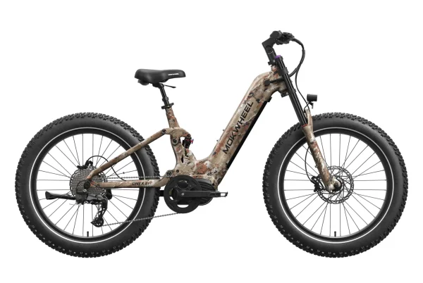 Onyx ST Ebike